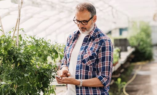 Man with glasses wearing plaid shirt texting on a mobile phone