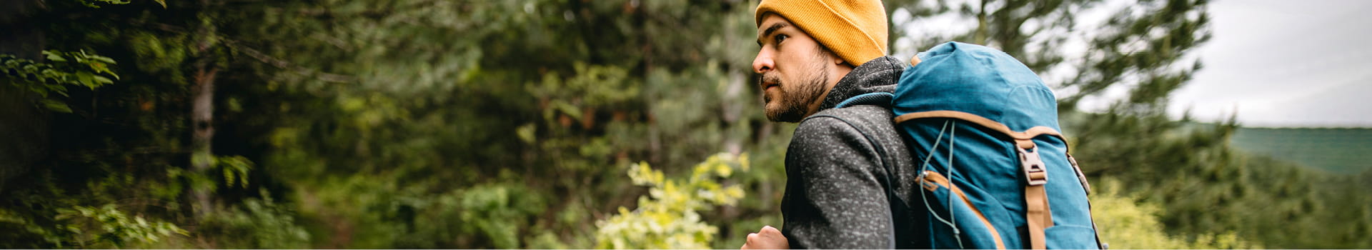 Fall Into Wellness