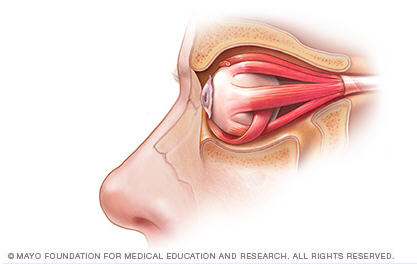 How Your Eyes Move