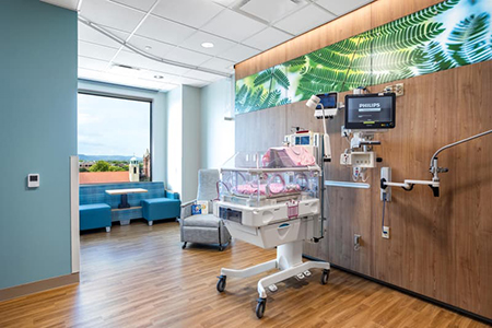 La Crosse Family Birth Center Birthing Room