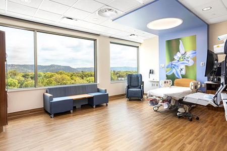La Crosse Family Birth Center Birthing Room