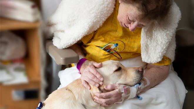 A day in the life of Luna, a facility dog - Mayo Clinic Health System