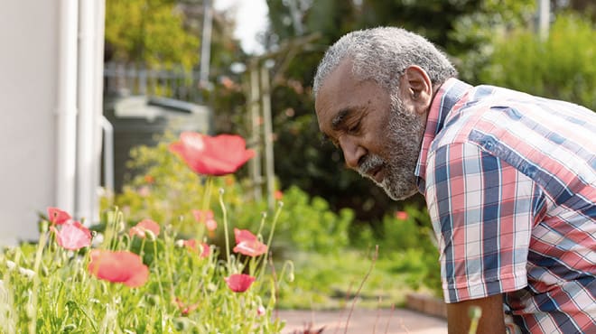 Looking at poppy garden