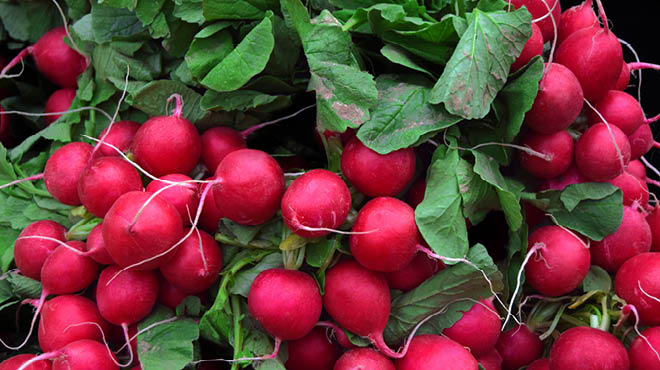 Radishes: Big flavor in a small package - Mayo Clinic Health System