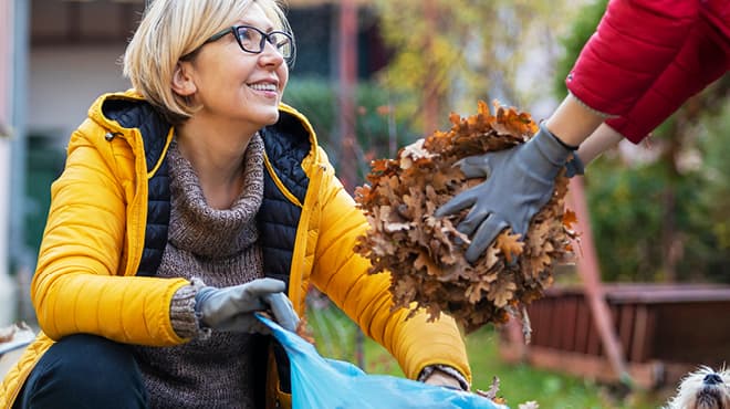 Bagging fall leaves