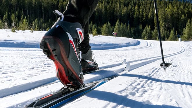 Cross-country skier on trail