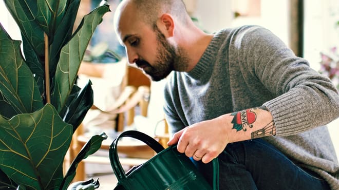 Watering plant with green can