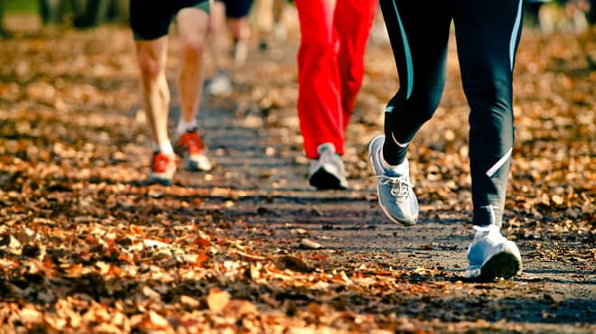 Three people walking on trail with leaves and all you can see is their legs.