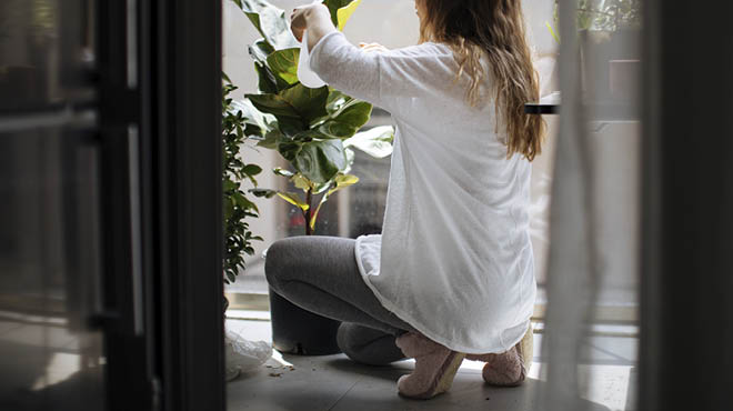 Watering plant while crouching