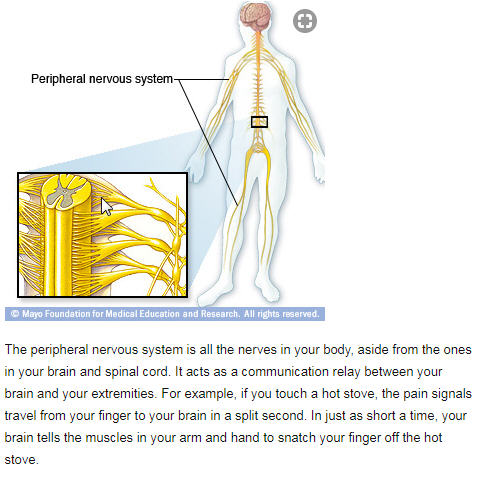 Chronic Pain